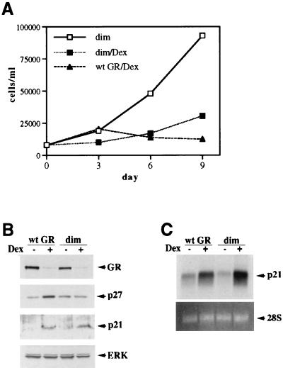 FIG. 8