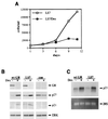 FIG. 7