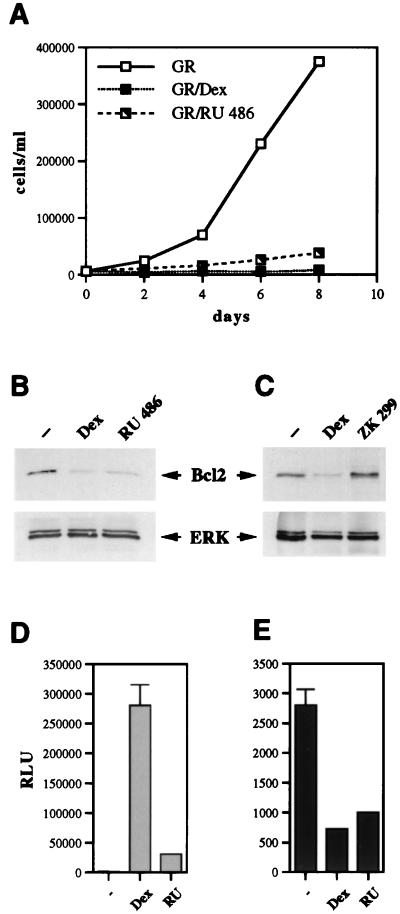 FIG. 5