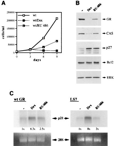 FIG. 9