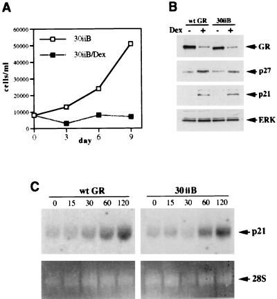 FIG. 6