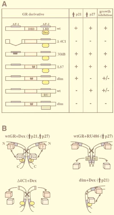 FIG. 11