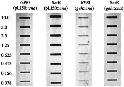 FIG. 8