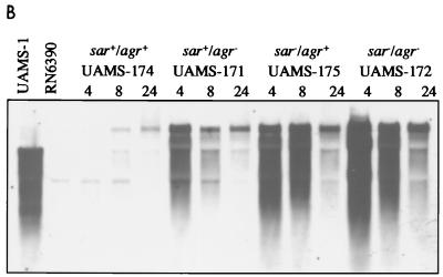 FIG. 6