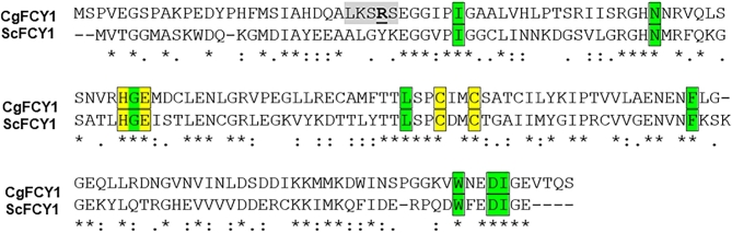 Figure 2.