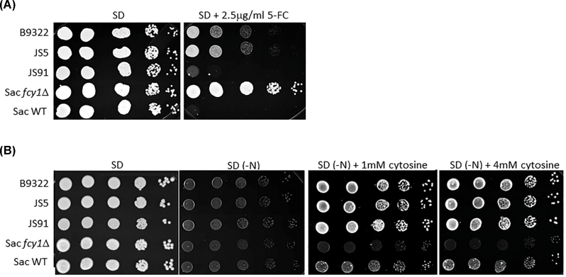 Figure 3.