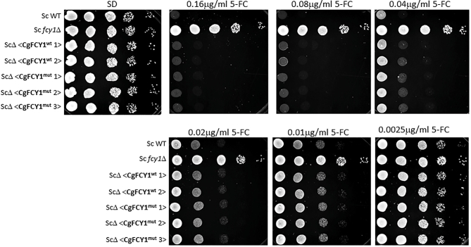 Figure 6.