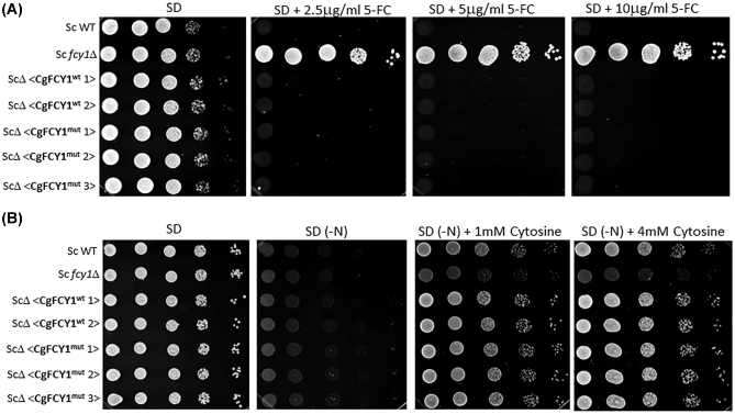 Figure 4.