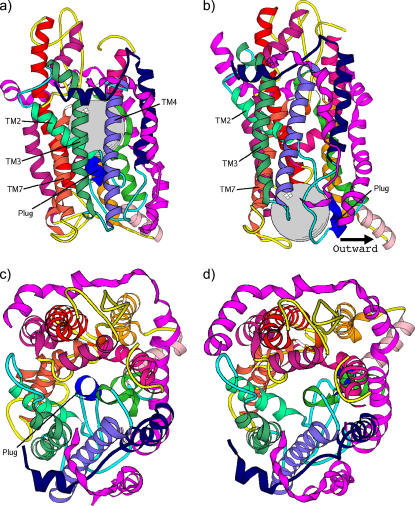 FIGURE 4