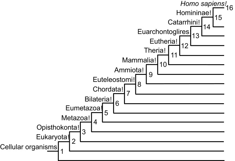 Figure 1—figure supplement 2.