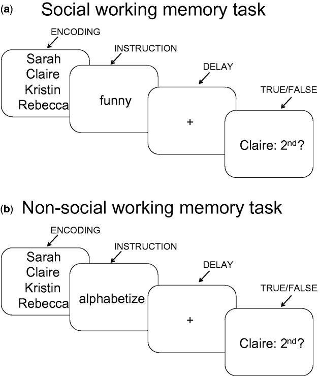 Fig.1.