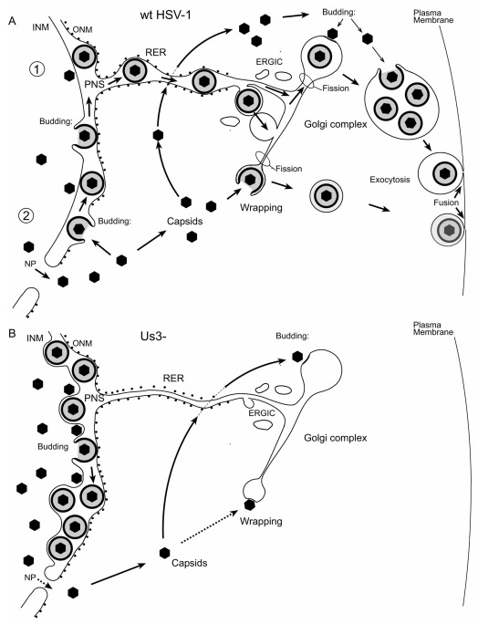 Figure 14. 