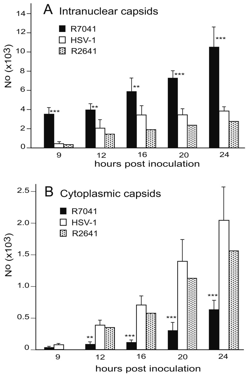 Figure 12. 