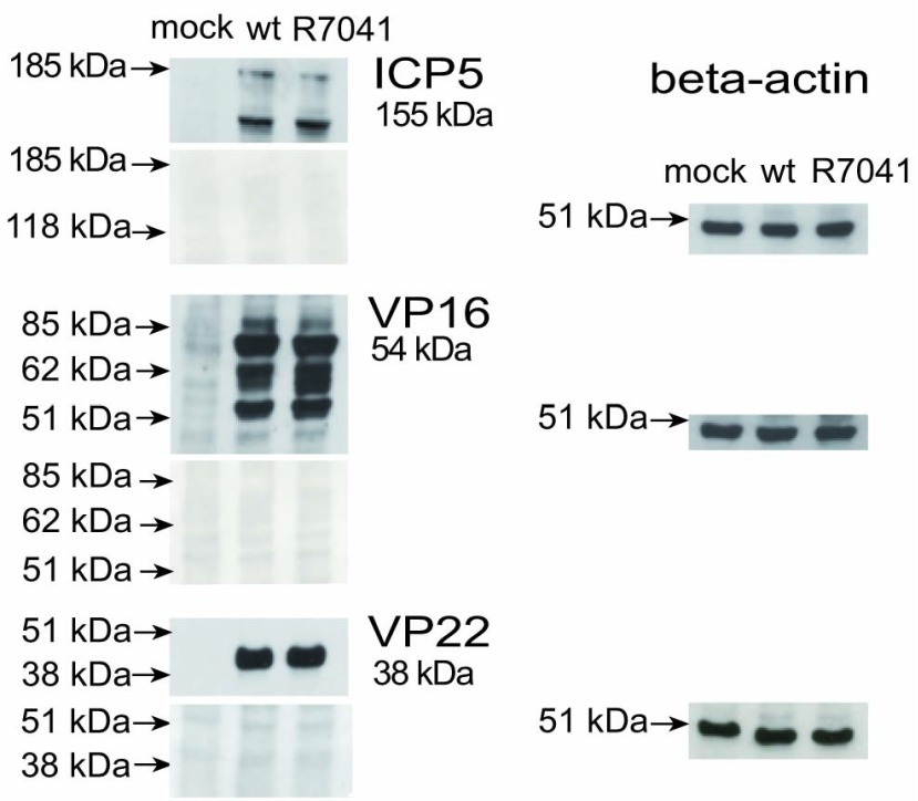 Figure 13. 