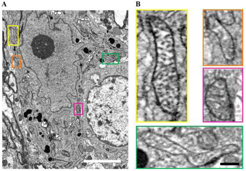 Figure 7: