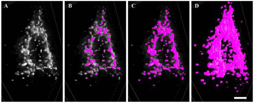 Figure 4: