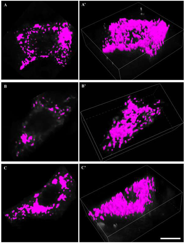 Figure 5: