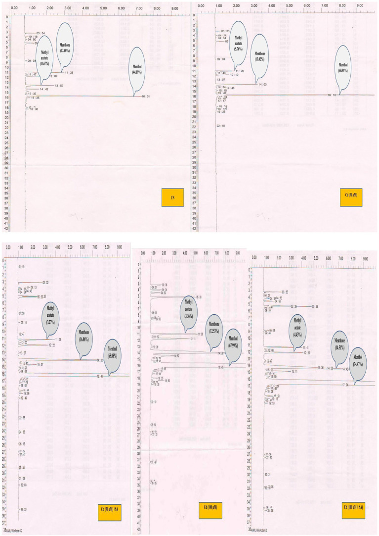 Figure 5