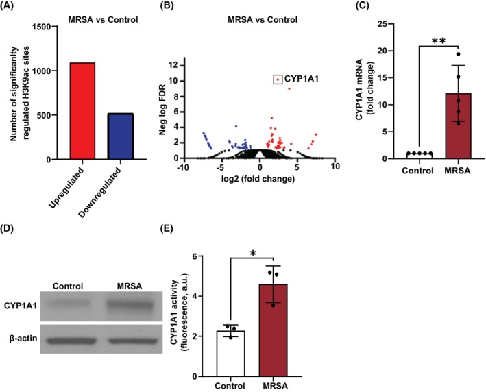 FIGURE 1