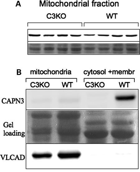 Figure 5.