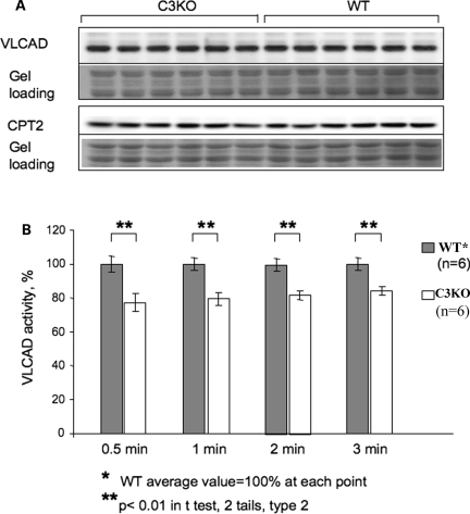 Figure 6.