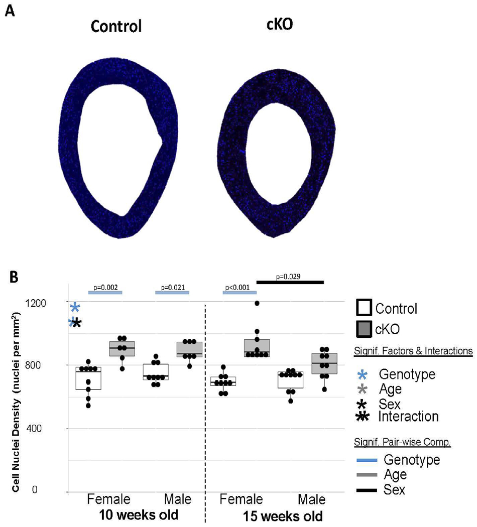 Figure 7.