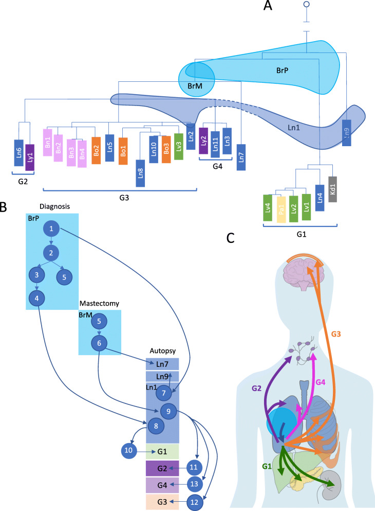 Fig. 3