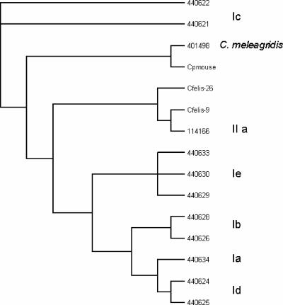 FIG. 2.