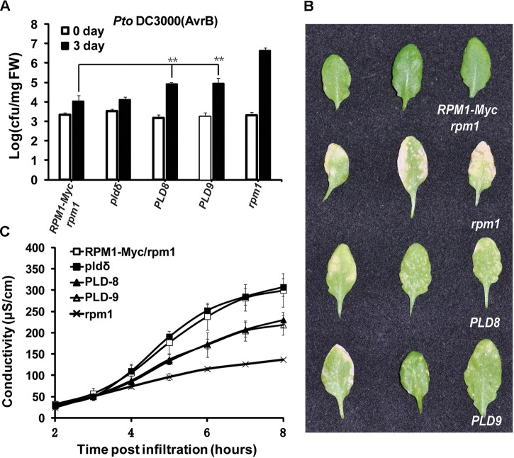 FIGURE 6