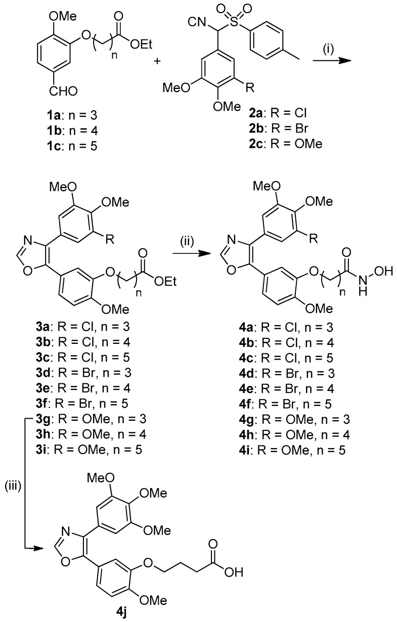 Scheme 1