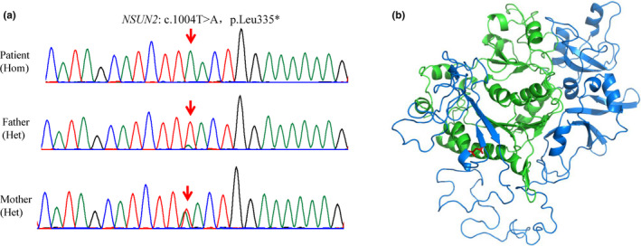 FIGURE 2