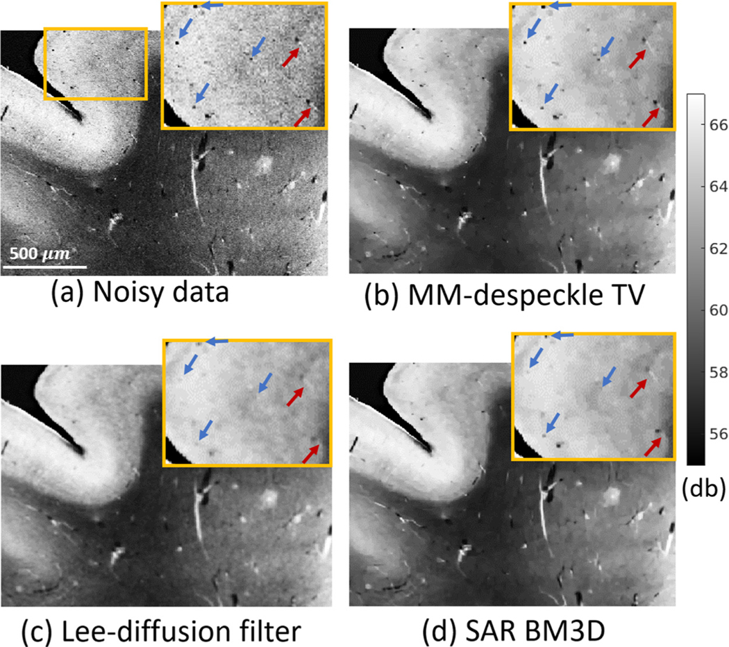 Fig. 6.