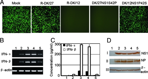 FIG. 4.