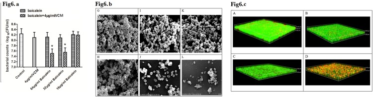 Fig 6