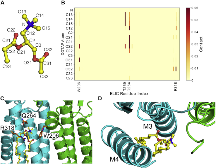 Figure 5