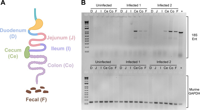 FIG 4