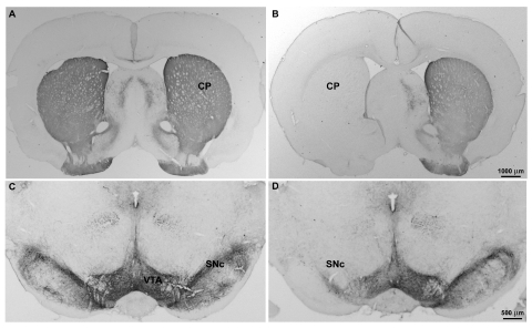 Fig. 8.