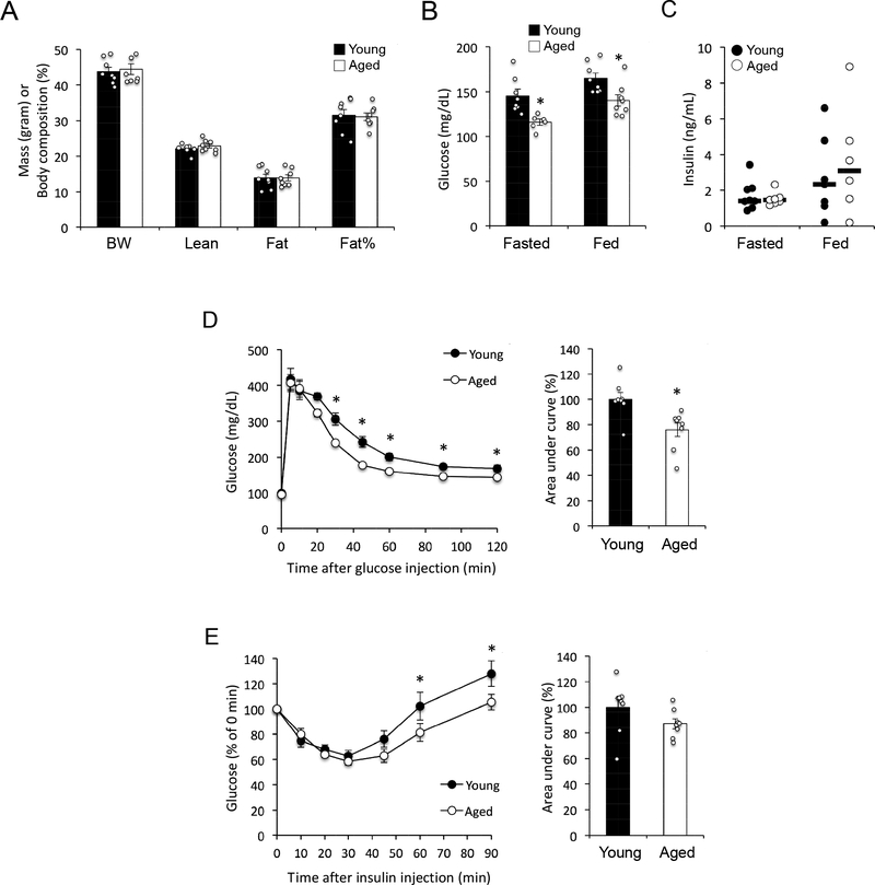 Figure 3 –