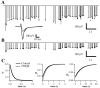 Fig. 10.