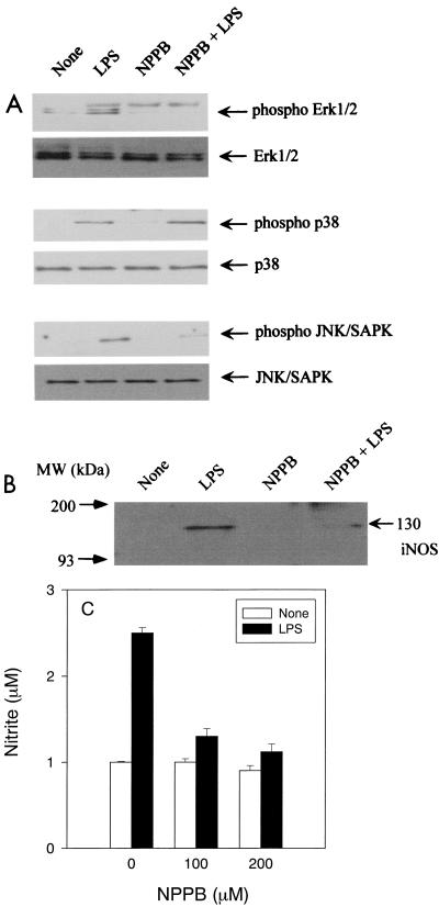 FIG. 7