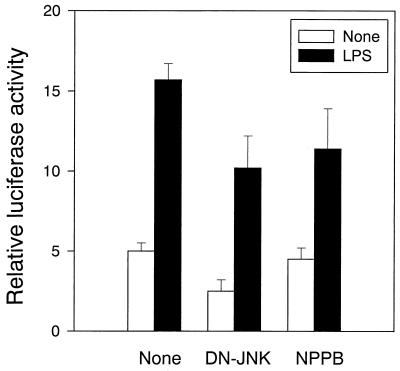 FIG. 10