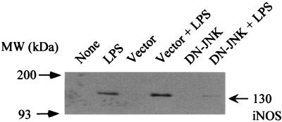 FIG. 9