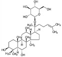 graphic file with name pharmaceutics-15-00749-i029.jpg