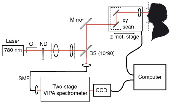 Fig. 1