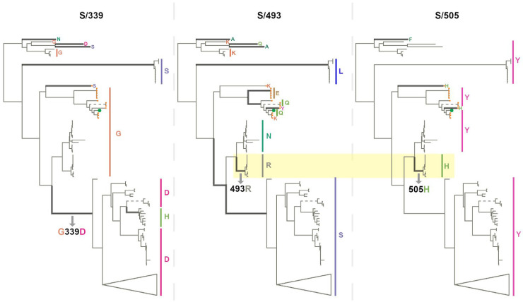 Fig. 6.