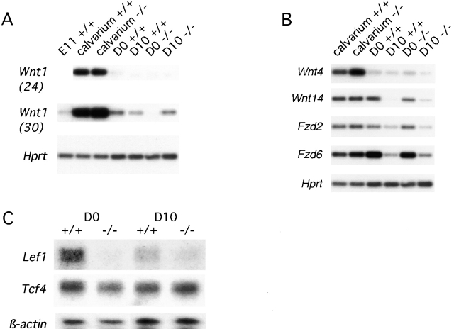 Figure 7.