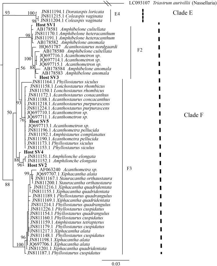 FIGURE 3