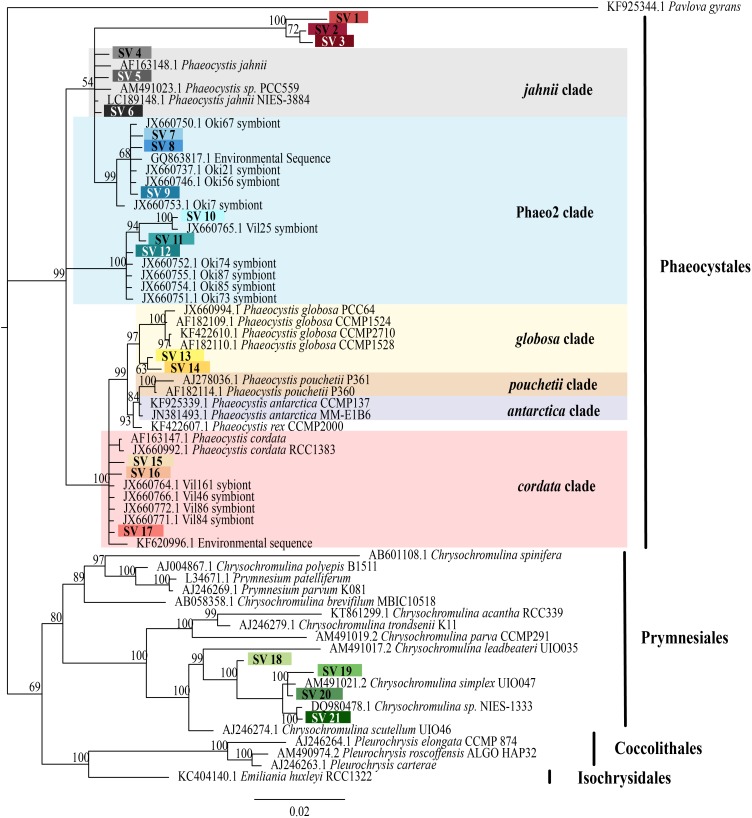 FIGURE 2