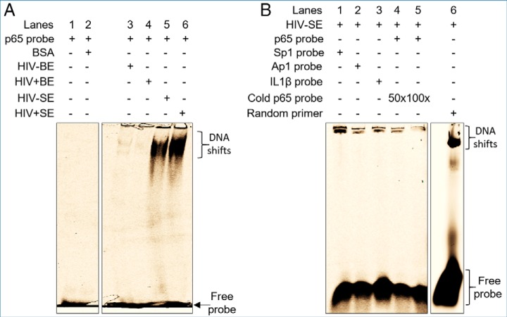 Fig. 9.