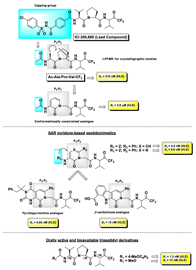 Figure 13